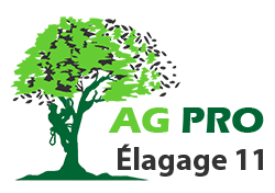 elagueur-ag-pro-elagage